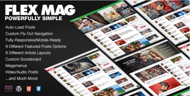 Flex Mag WordPress Theme Free Download