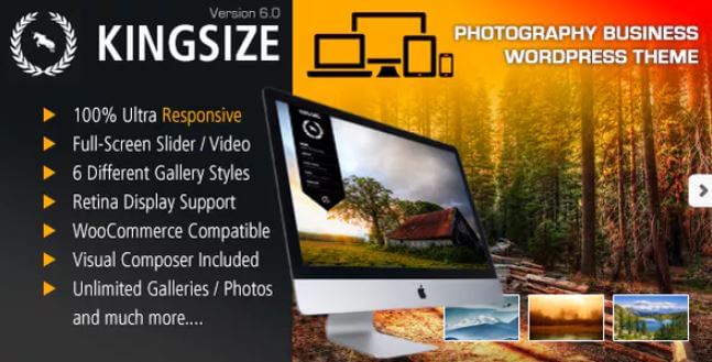 KingSize WordPress Theme