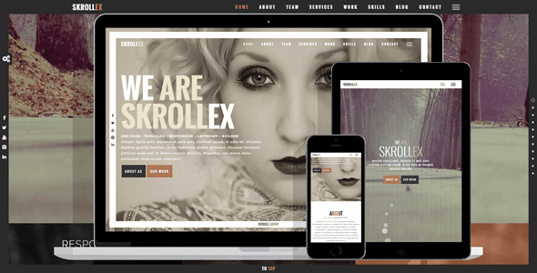 Skrollex wordpress