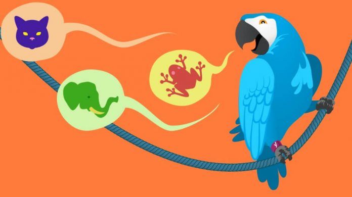 Yoast seo Multilingual Plugin Download