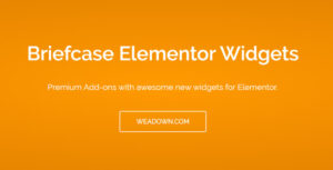 Briefcase Elementor Widgets Nulled