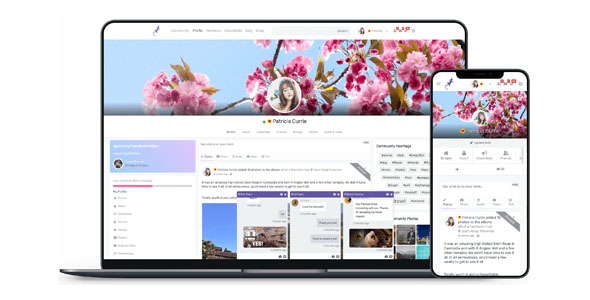 Peepso Nulled - Social Networking Plugin for WordPress