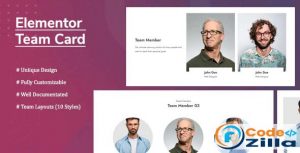 Elementor Team Card Free Download