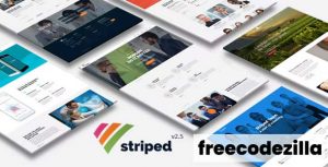 Striped - Multipurpose Business and Corporate Theme
